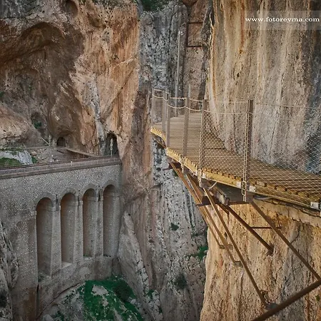 Rey أرذاليس